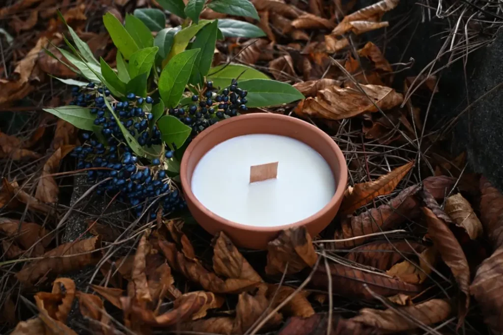 Bougie en pot de terre cuite posée sur des feuilles mortes et des baies