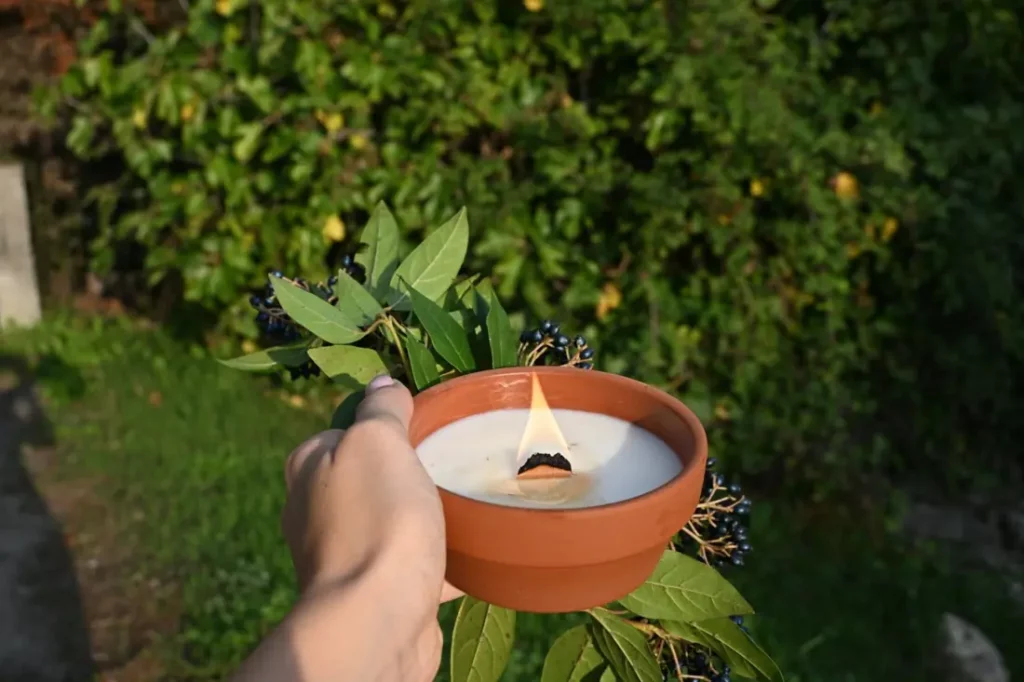 Une main tient une bougie allumée dans un pot en terre cuite, devant un figuier